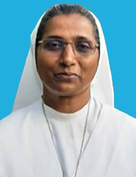 Sr. Alexander Lilly Rose